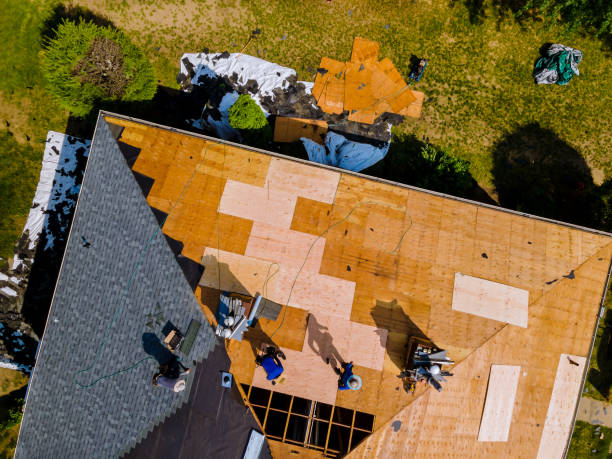 Professional Roofing Contractor in Greenville, GA